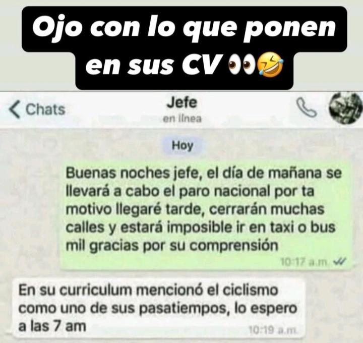Ojo con lo que ponen en sus CV