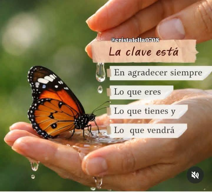 Quien Puede Aclarar Dudas???