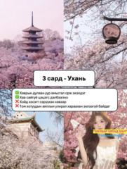 Түмэнбаяр Халиун