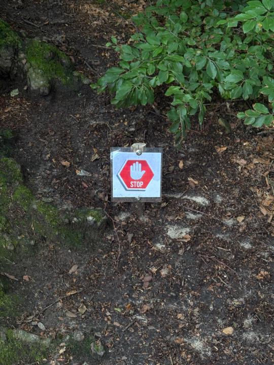 Caitlin van Oirschot