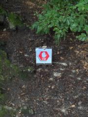 Caitlin van Oirschot