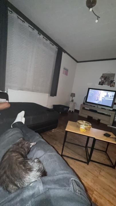 Youssef Bouzidi amri