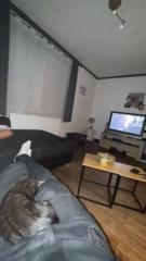 Youssef Bouzidi amri