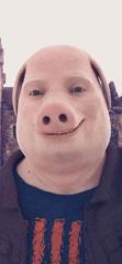 Helge Pollack