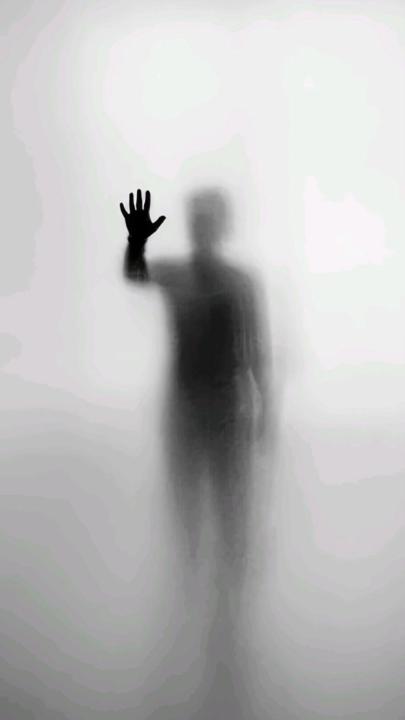 Toison Yoan