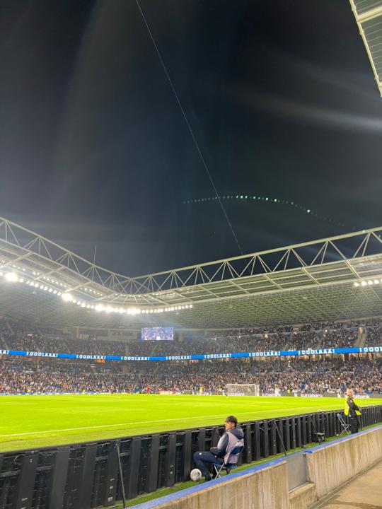 Aingeru Arellano Sanchez