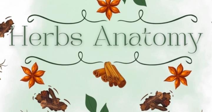 Herbs Anatomy