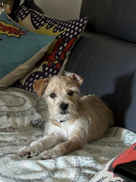  What brings everyone else joy?