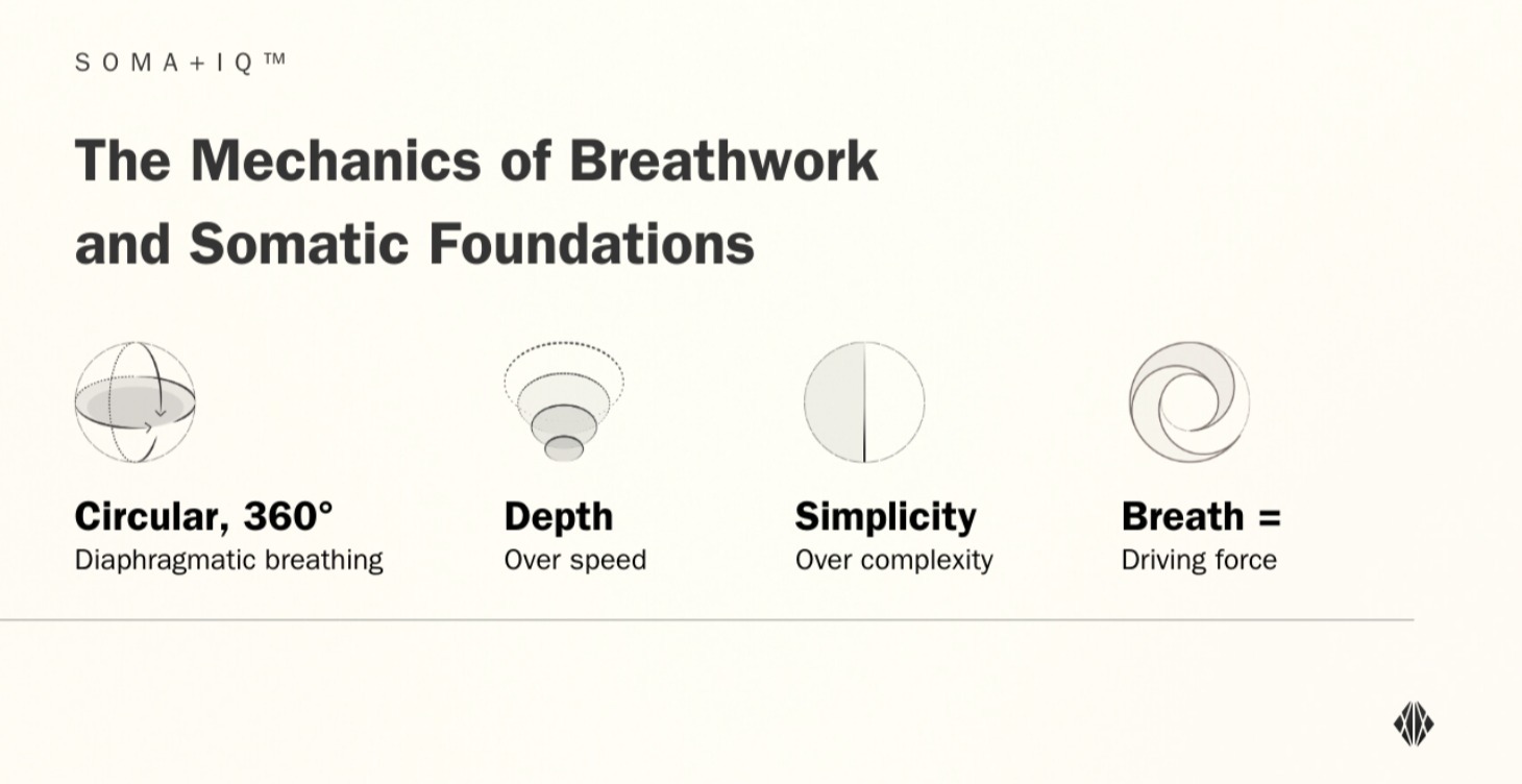 Breathwork Mechanics and Somatic Foundations