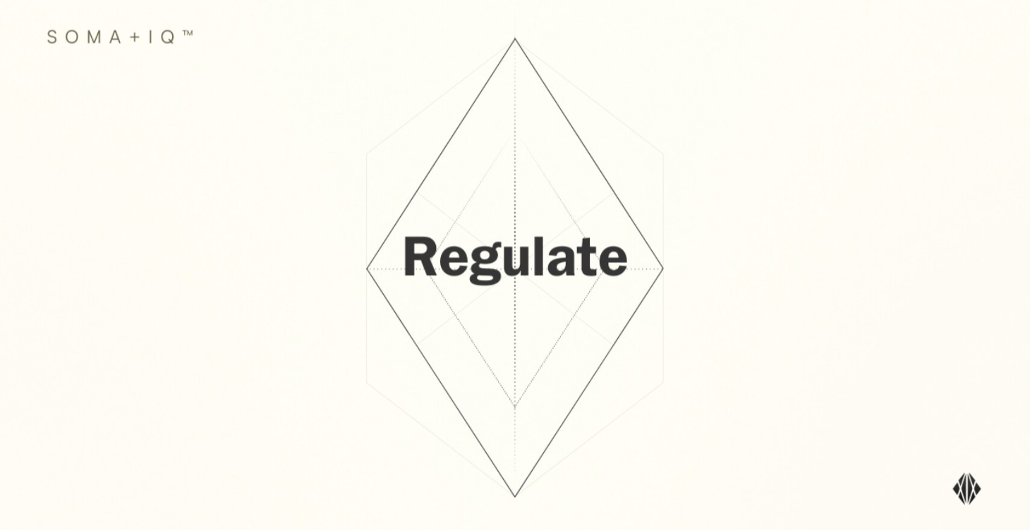 🧠 Regulate - (Part 2)