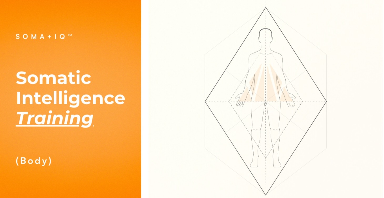 Body Mapping Training
