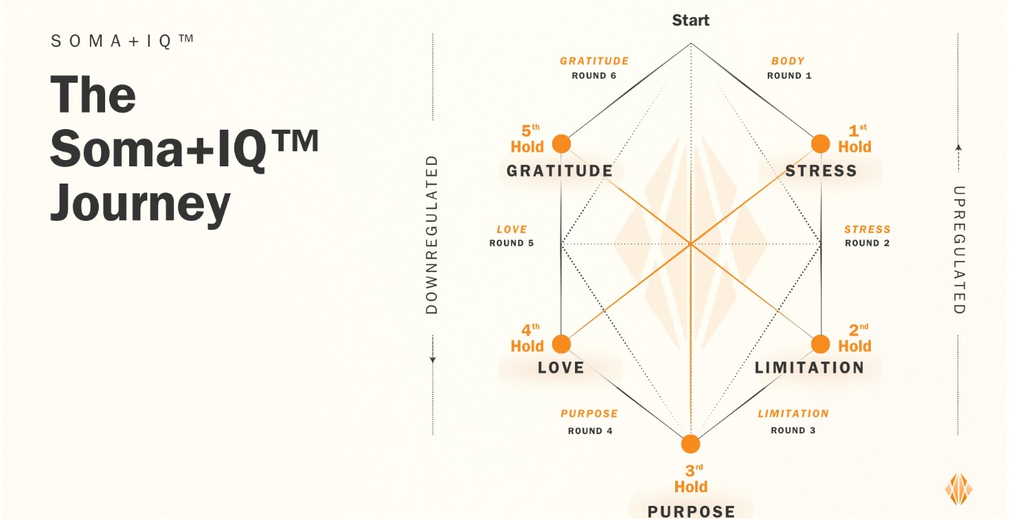 🏆 Somatic Breathwork Session