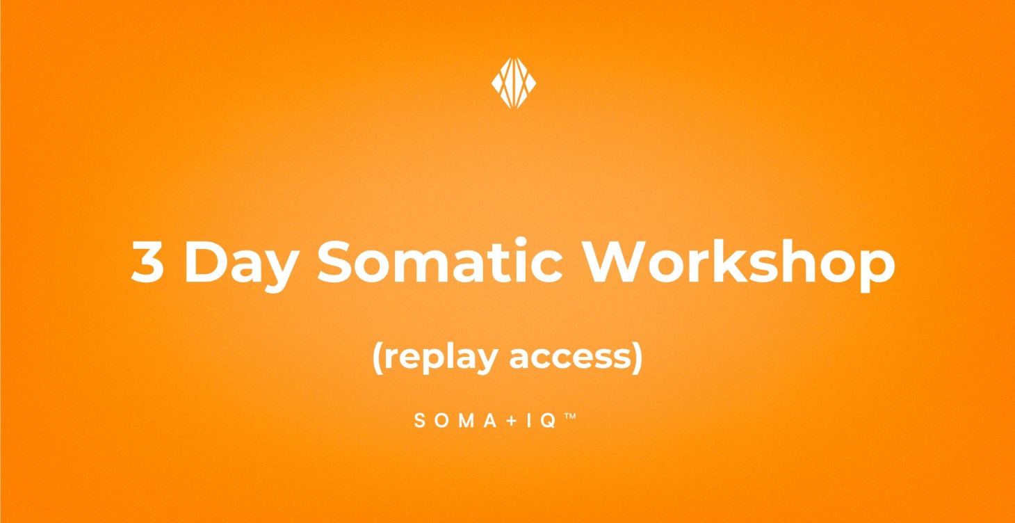 3 DAY - Somatic Workshop Replay
