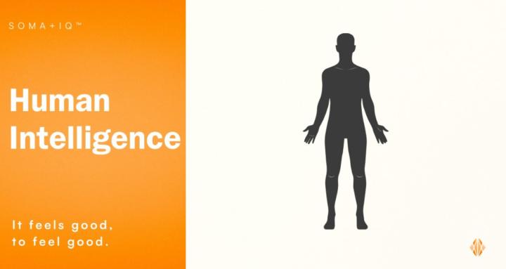 Human Intelligence by Soma+IQ