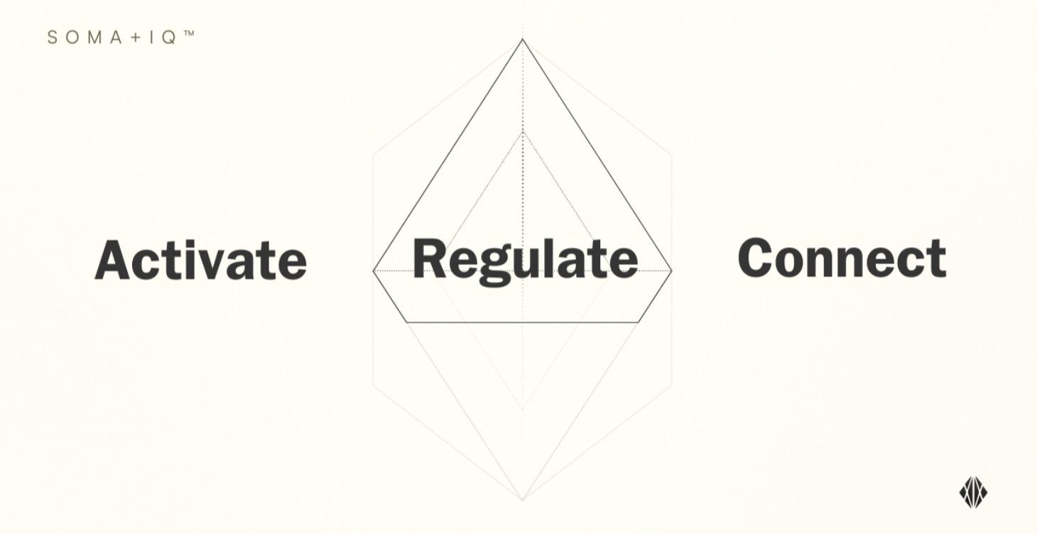 The Somatic ARC Framework