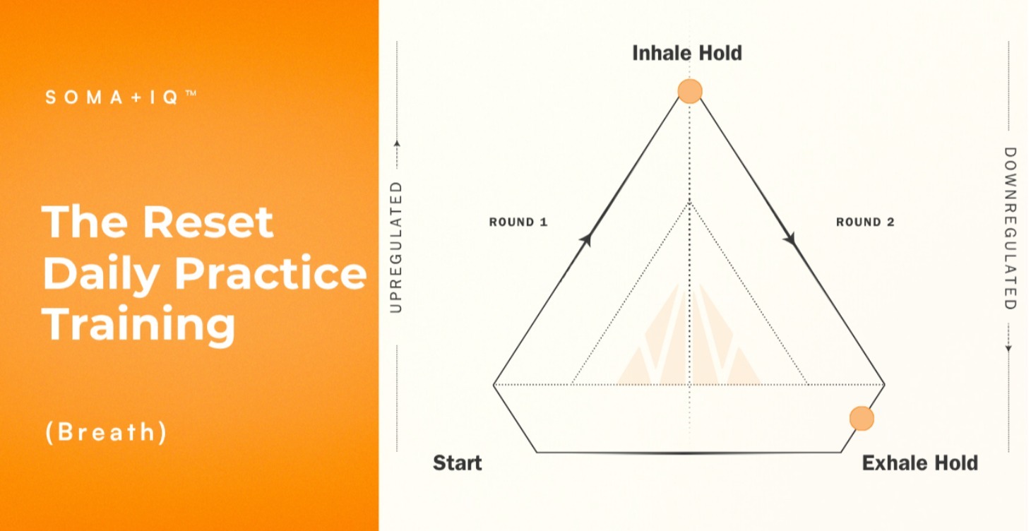The Reset - Daily Practice Training