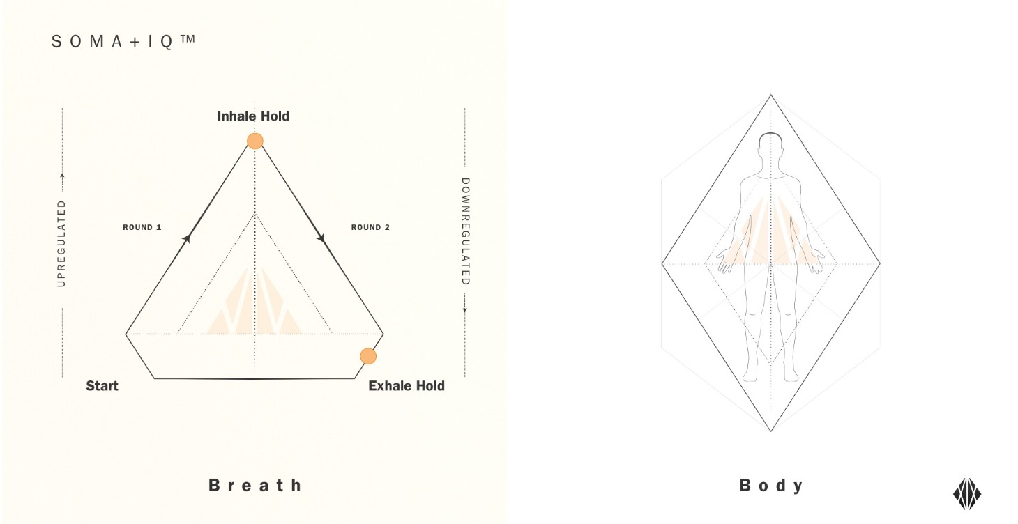 ⭐️ Daily Breathwork & Body Mapping Training