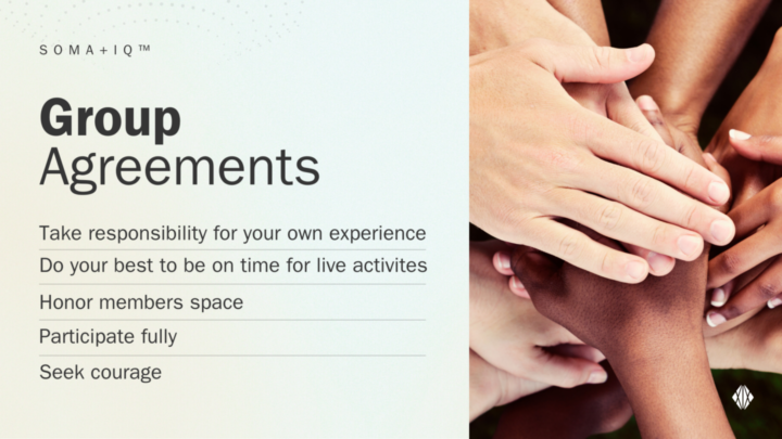 Welcome! Introduce yourself + Share what brings you here! 🎉