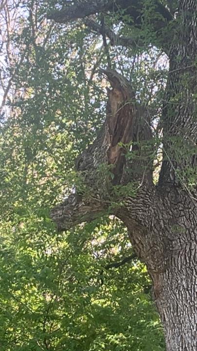 Spending time in nature , , day 8 daily practice complete