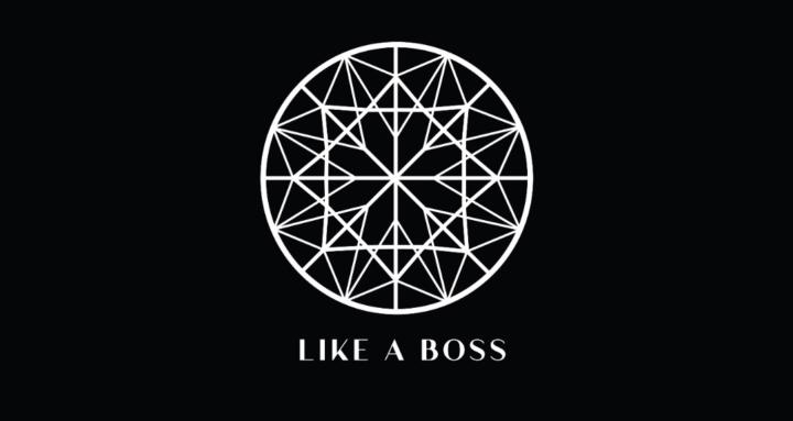 Like A Boss