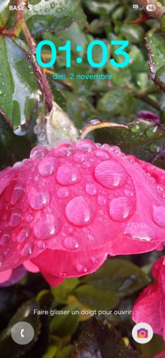 زينب الجعادي