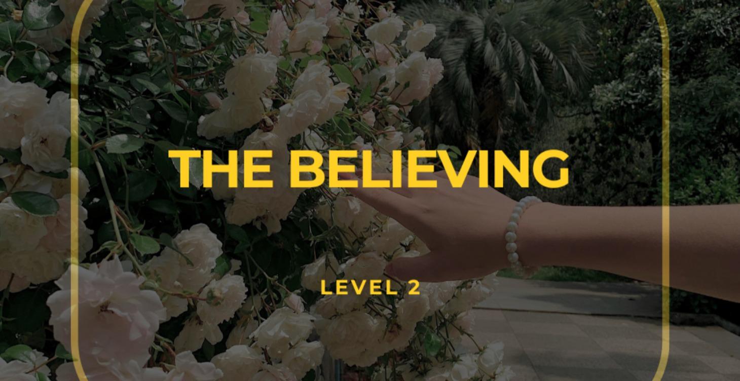 The Believing - Identity Reset