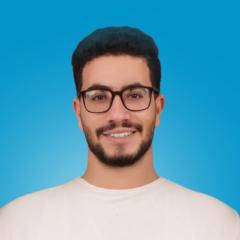 Ahmed Hesham