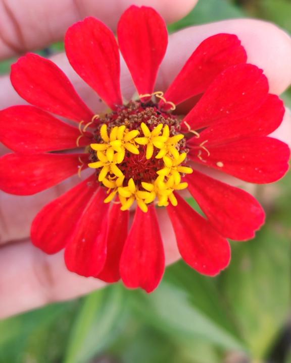 Kenia y Paola Soto Córdoba