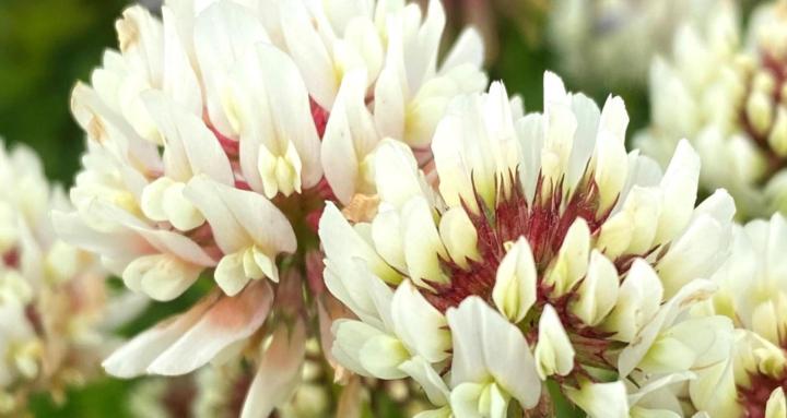 Hugró - Hættu að rembast