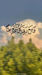 Omnia Abdel Rahman