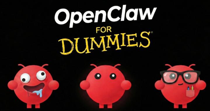 OpenClaw For Dummies