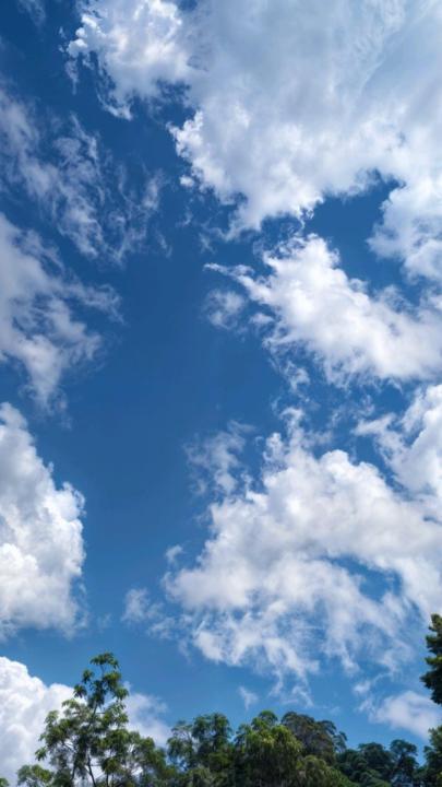 William Pérez mártir