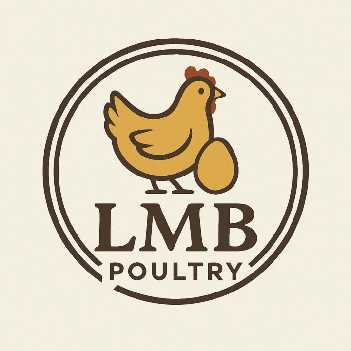 Louie Massarella burton