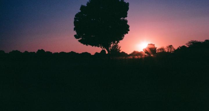 Landscape Film Photographers