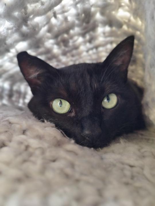 Araceli Ortiz Noguera