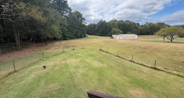 Angels Farm and Pups