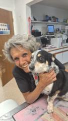Lea Mayer DVM