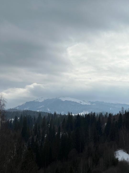 Oleksandra Loganovska