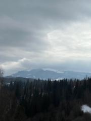 Oleksandra Loganovska