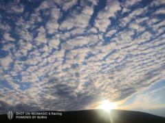 Tserenlkham Gombodorj