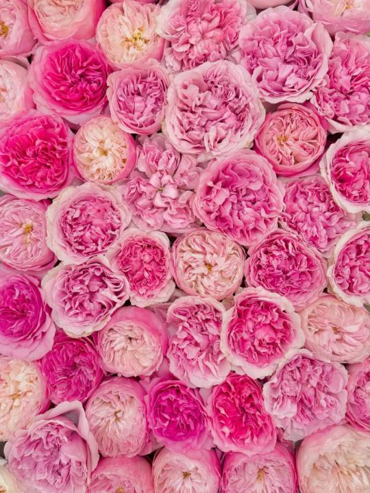 Machelle Christiansen