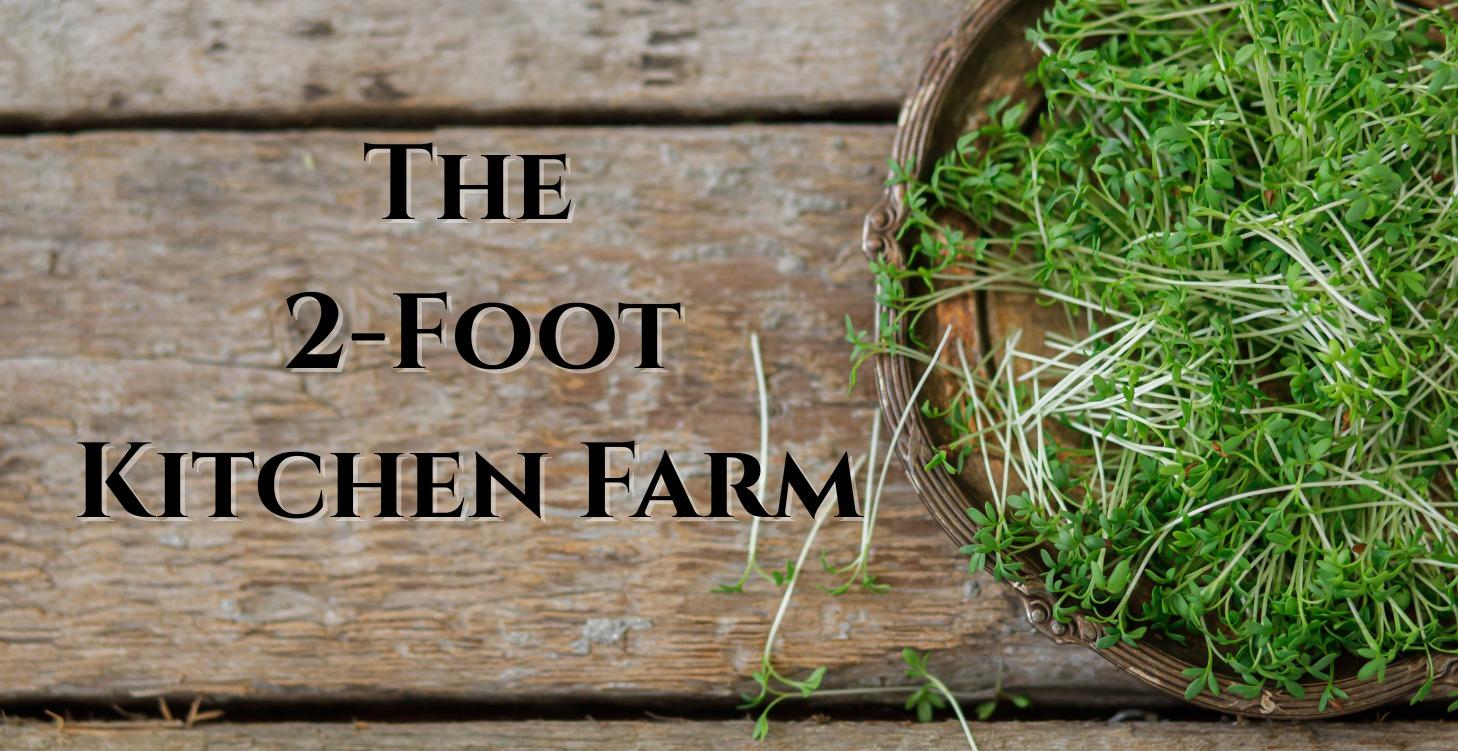 The 2-Foot Kitchen Farm