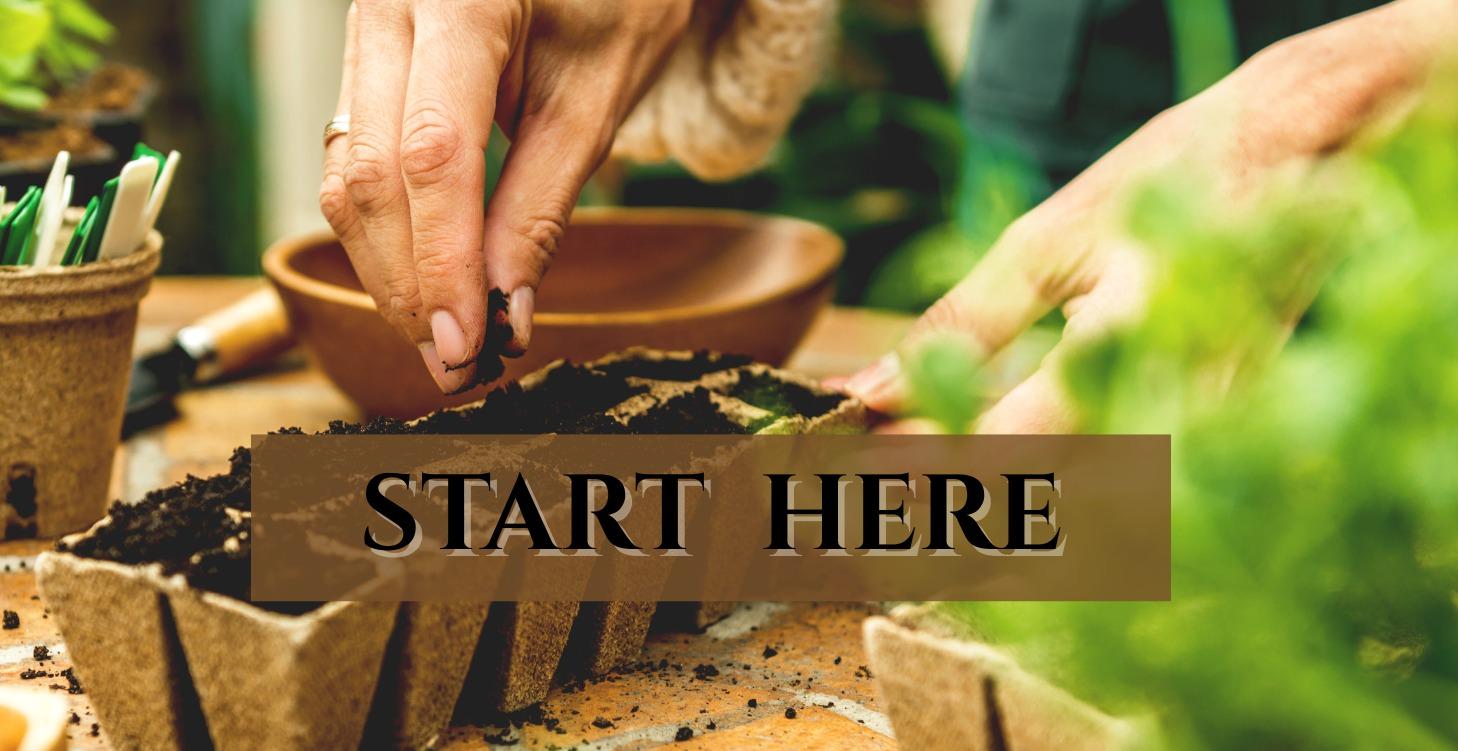 Start Here