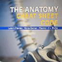Anatomy Cheat Code icon