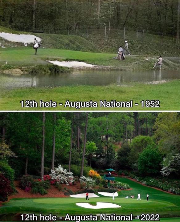 🌸 From rough to royalty…⛳