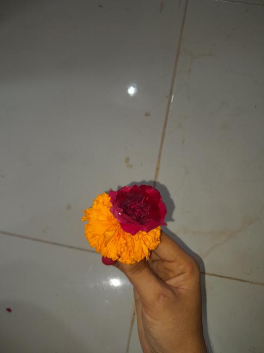 Vidhi Panchal
