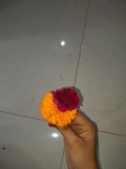 Vidhi Panchal