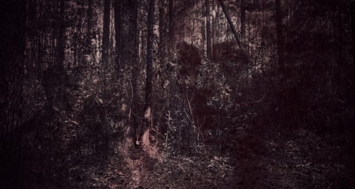 Being eclectic in art and life