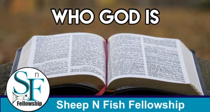 Sheep N Fish Gather