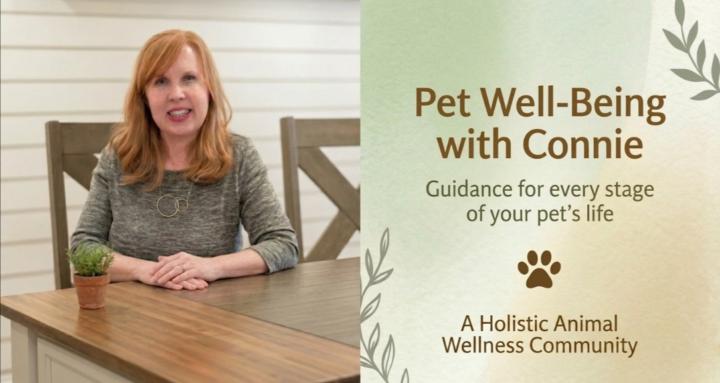 Pet Well-Being with Connie